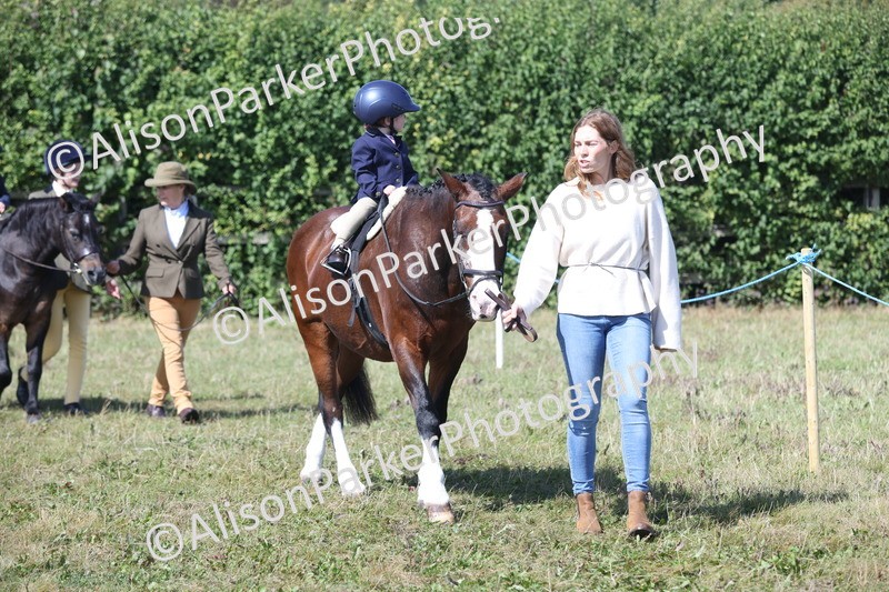 20250831-3116 - Class 24 - Absolute Beginners Pony