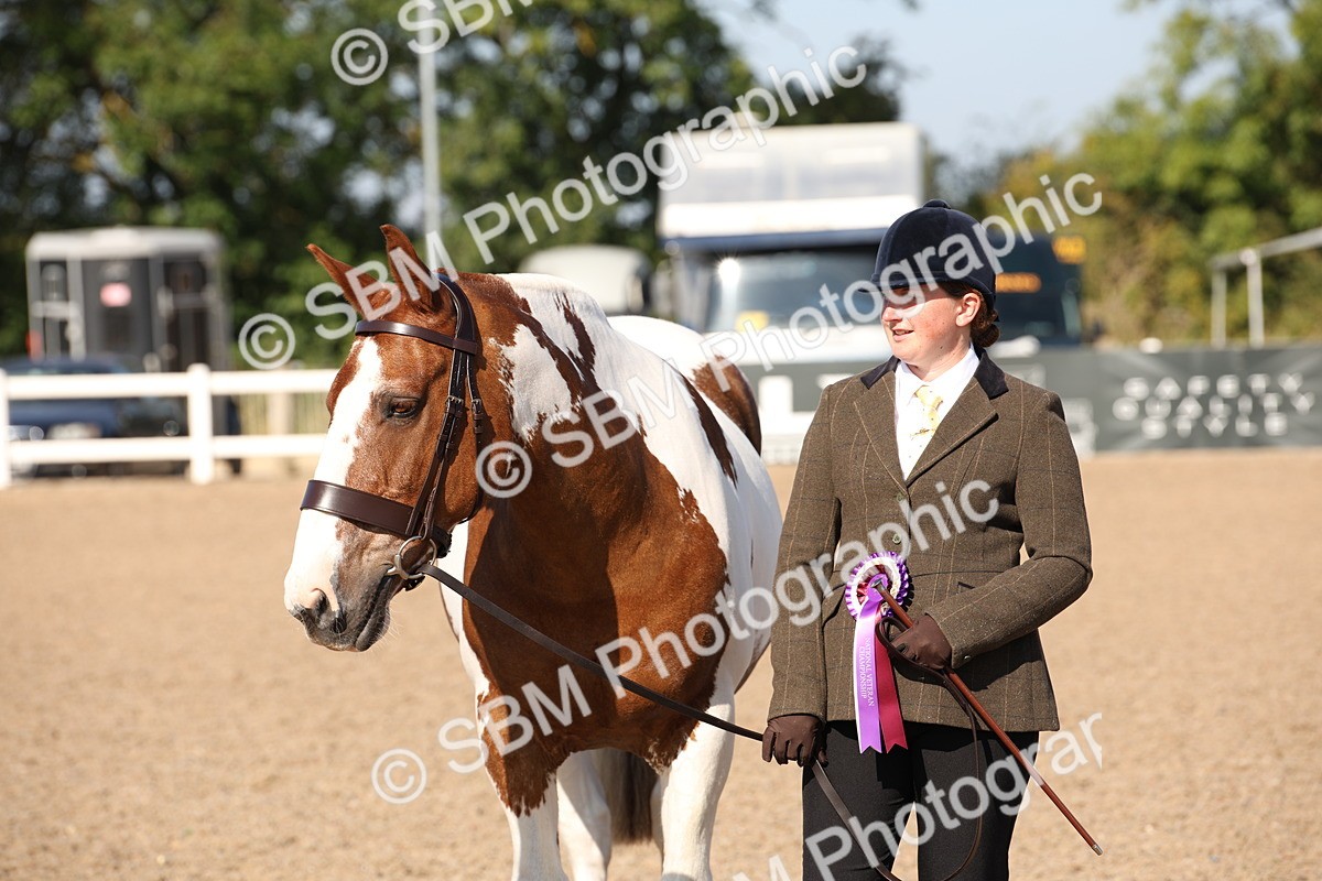 SBM_01571 - Class 15 IH Coloured