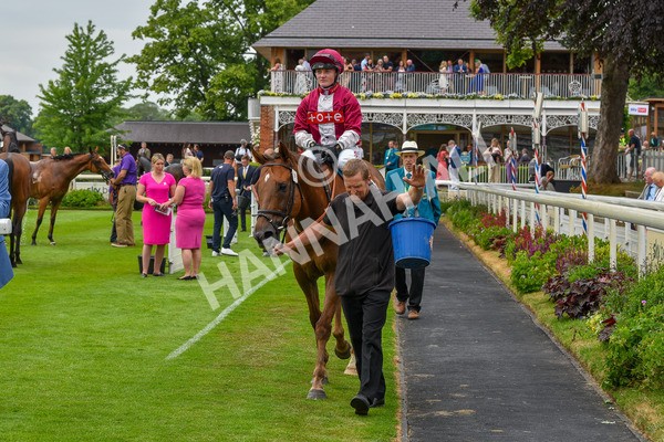 170623-Race 6-Mostawaa-7439 - Race 6 4.50pm Ice Co Supporting Macmillan Handicap