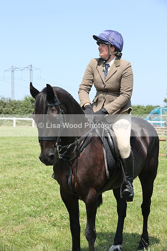 JPP_2924 - Class 21: Working Hunter 60cm