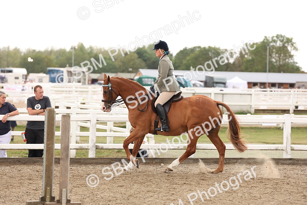 SBM_02922 - Class 53 - Ridden Competition Horse/Pony