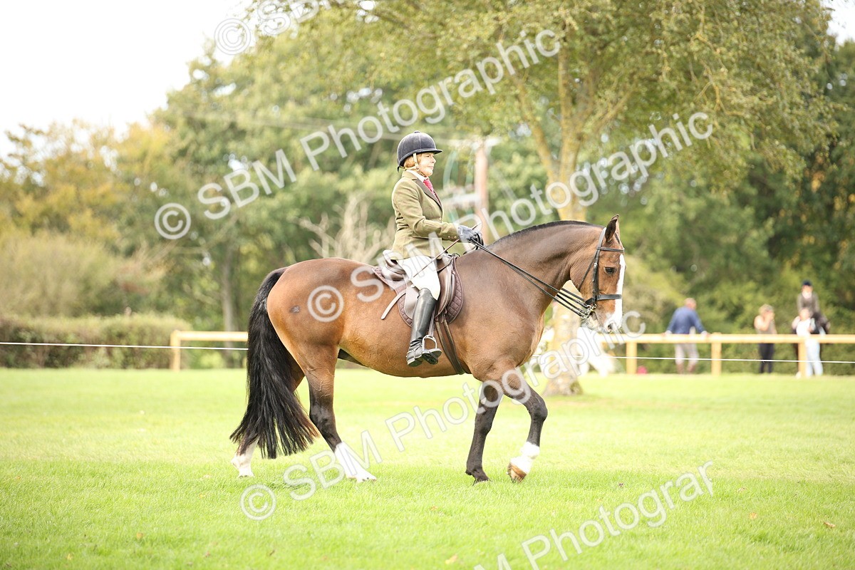 SBM_72346 - S67 - Show Cob Ridden