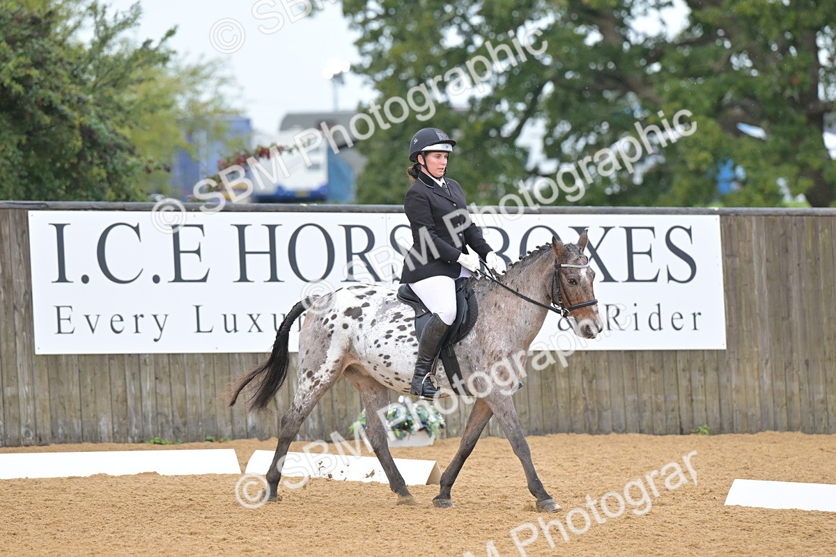 SBM_00499 - D2 - Small Tour Championship Intro 2