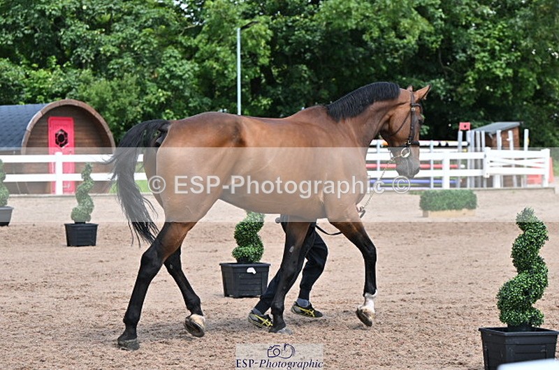 240718A-105312-01695 - Trot Up 1pm to 2pm