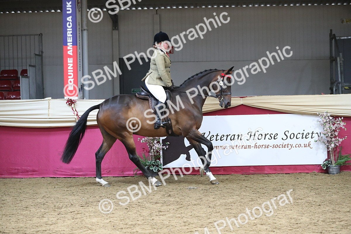SBM_12323 - Class 108 Ridden Retired Racehorse- Pre Judging