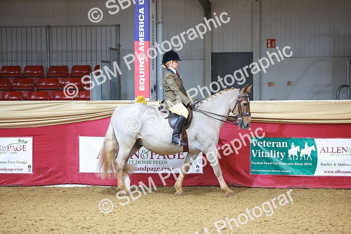 SBM_07553 - Class 101 - HOYS Veteran Qualifier - Ridden Diamond