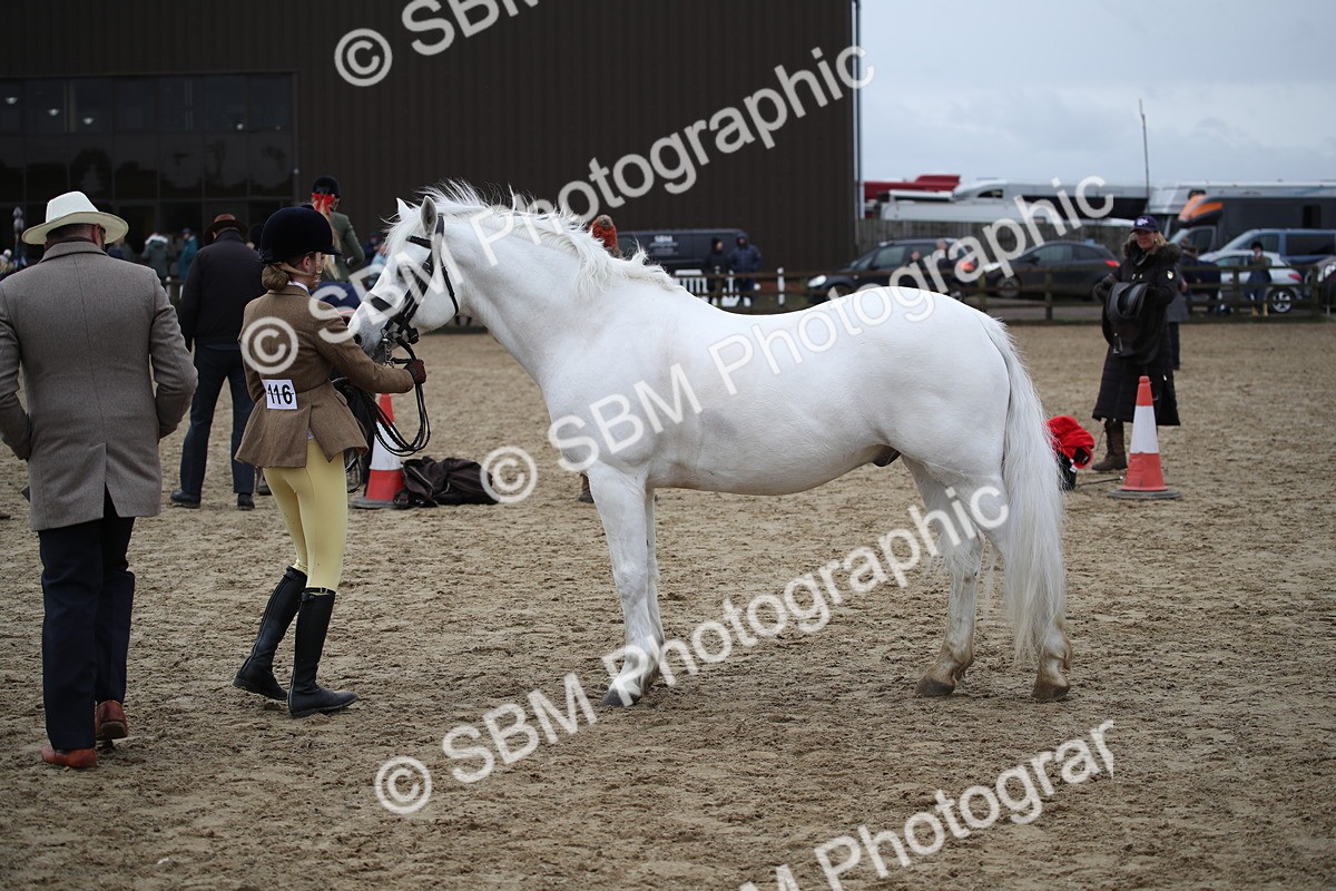 SBM_006171 - Class 10-13 - RIHS Small Large Breeds