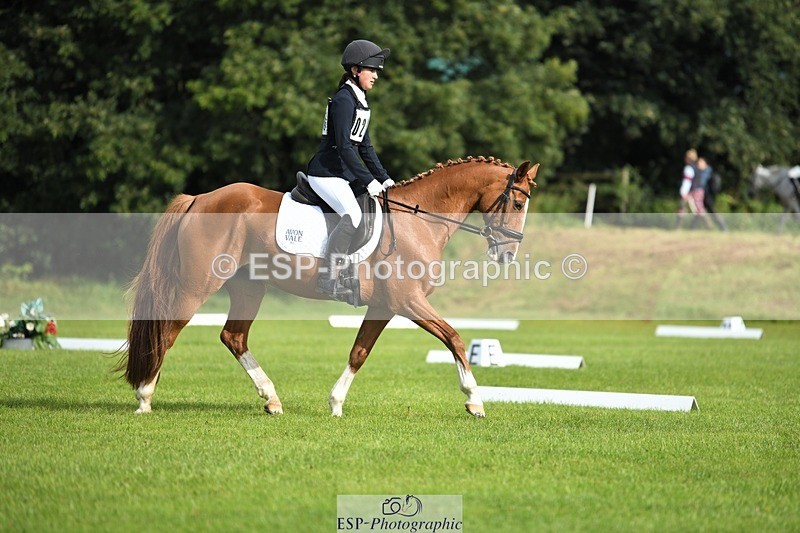 230826-093257-15139 - Sections C & D 9 to 10am