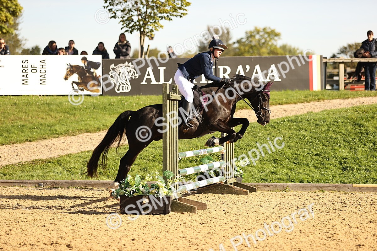SBM_35129 - J38 - Senior 80cm Championship