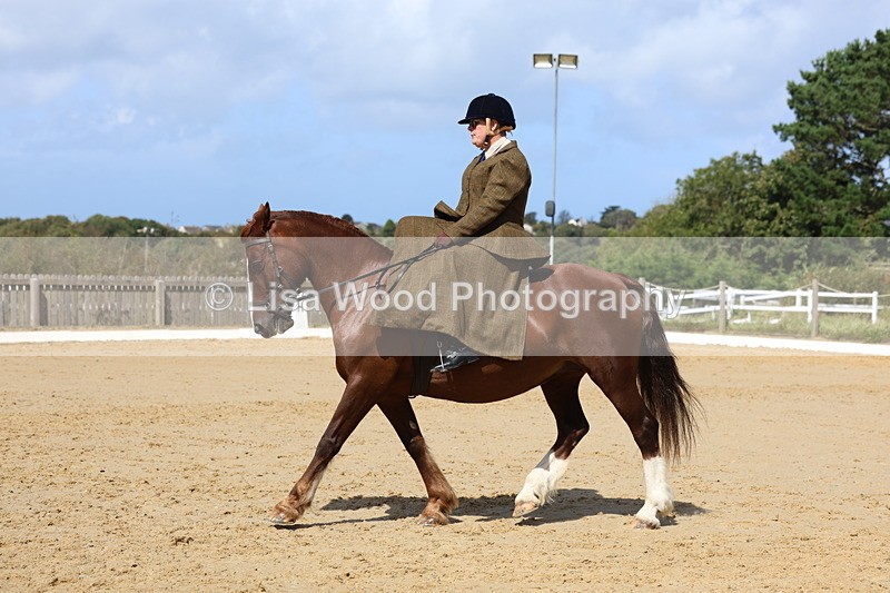 3E7A3570 - Class 7:  Preliminary Music