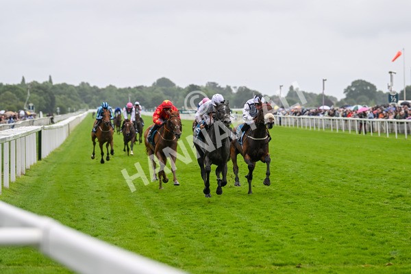 130724-Race 4-Alsakib-7468 - Race 4 3.45pm John Smith's Silver Cup Stakes