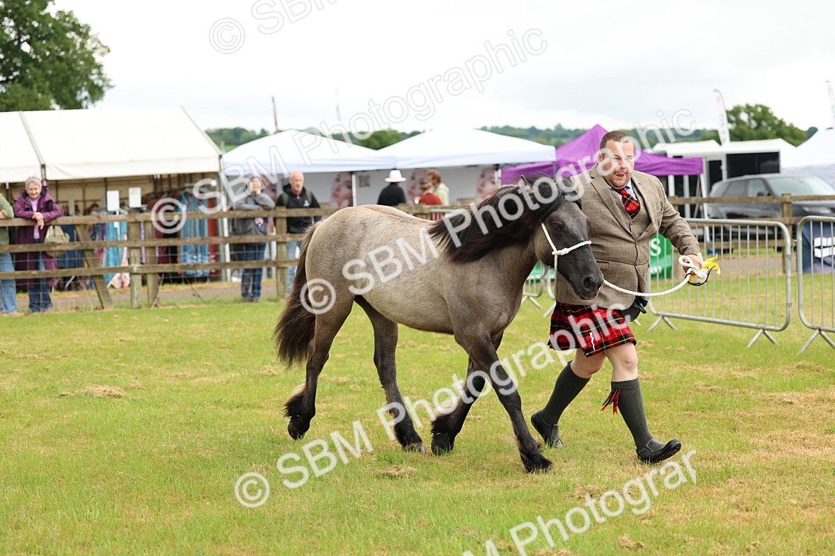 SBM_00460 - Class 58-67 - M&M Non Welsh Pony In hand