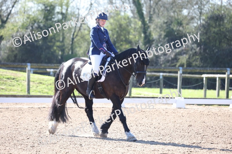 20260318-0133 - Class 2 - Intro 4