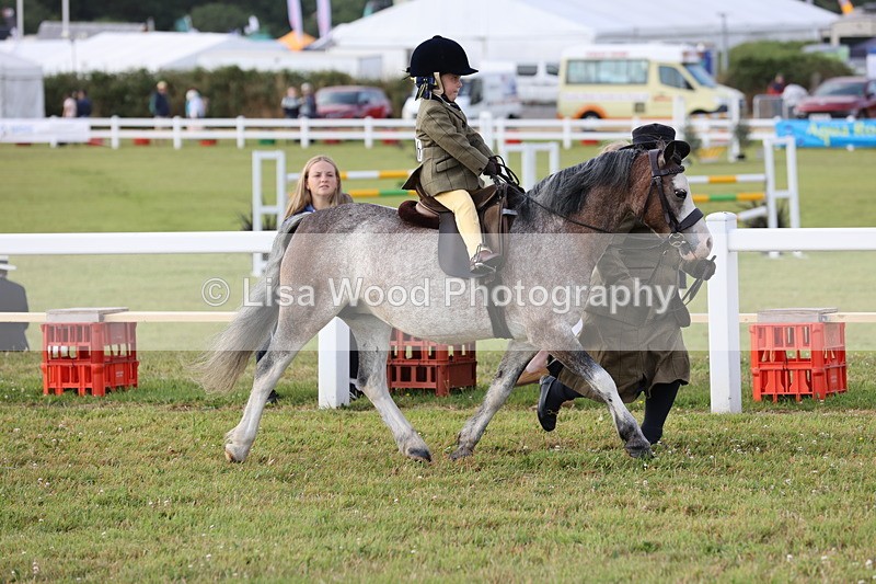 JPP_0198 - Class 14: Cornish Combination Leading Rein