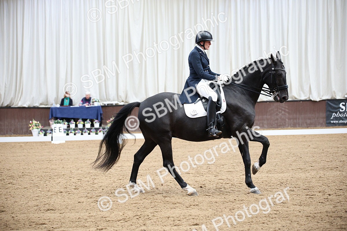 SBM_008091 - Class 12 - FEI PSG 14.46-15.50
