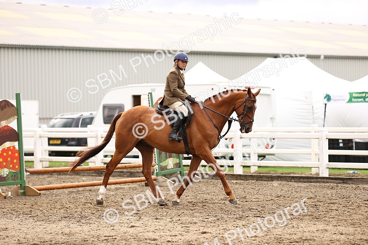 SBM_00551 - Class 53 - Ridden Competition Horse Pony