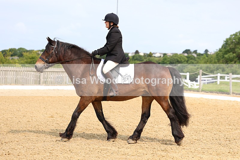 3E7A9047 - Class 1: Intro 1 2024 Section A