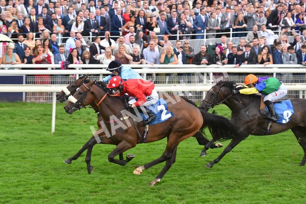 yr21082021r7-16 - Race 7 5.20pm Sky Bet Apprentice Stakes