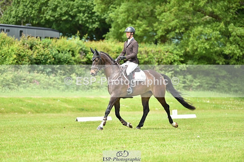 240523B-132752-02421 - 5 Year Old