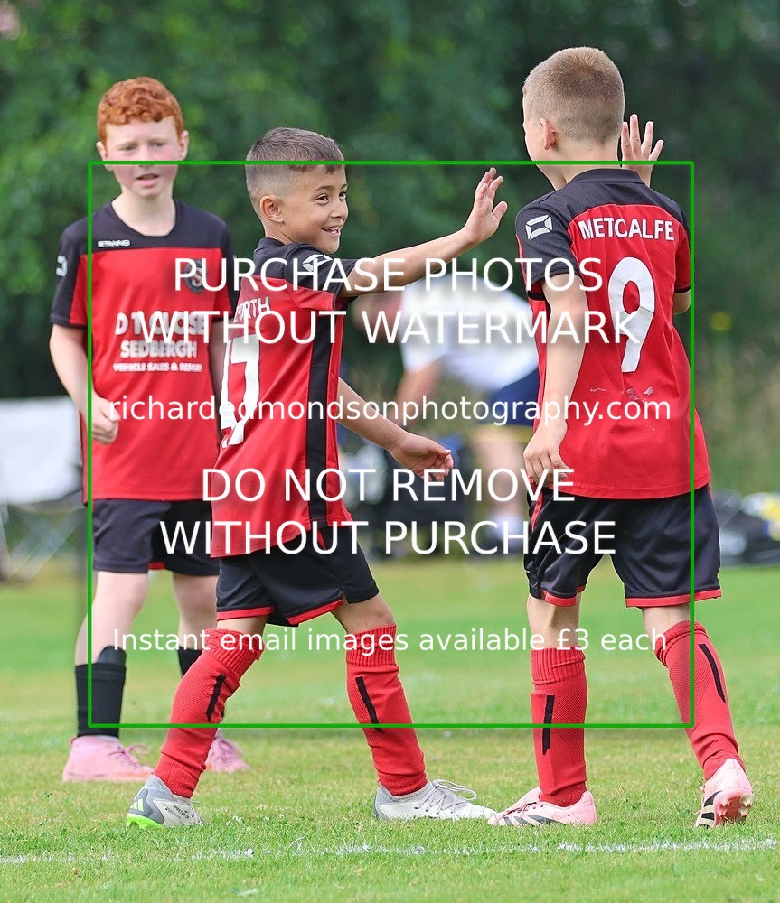 533A2989 - Sedbergh Wanderers (morning Ibis)