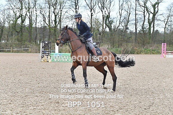 BPP_1051 - CLASS 2 Club/ Unaffiliated 80cms Open