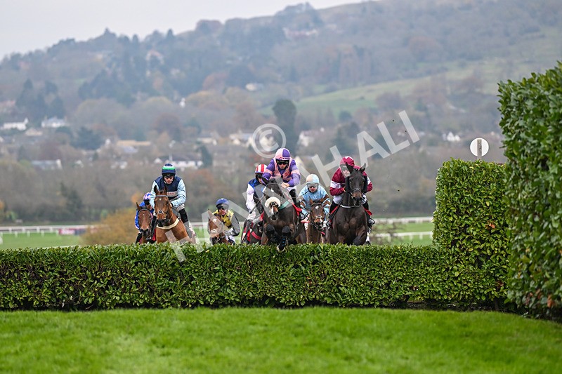 151124-Race 4-Tommie Beau-8109 - Race 4