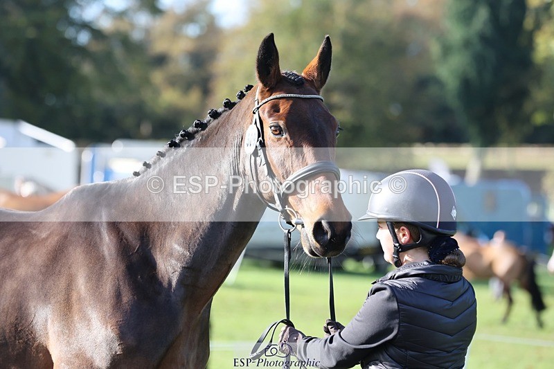 241027-101333-15754 - 509-Tichy.Sanders-SPARHANGER.VELVET