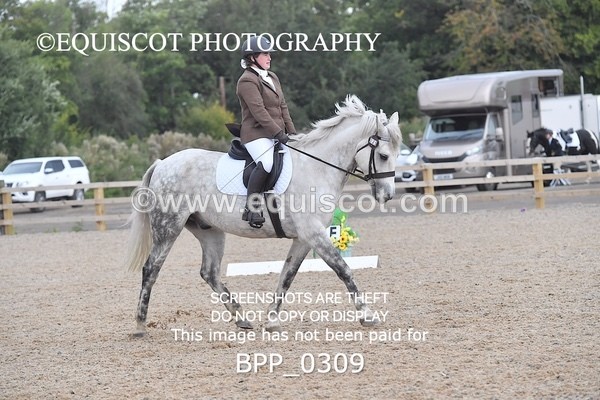 BPP_0309 - NOVICE 4 & 6