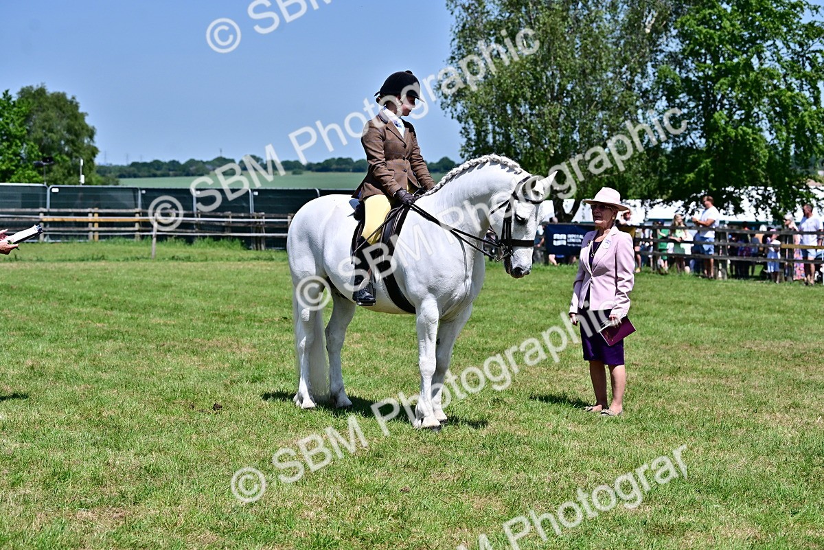 SBM_15341 - Class 95-97 - BSPS LHS Performance Ponies