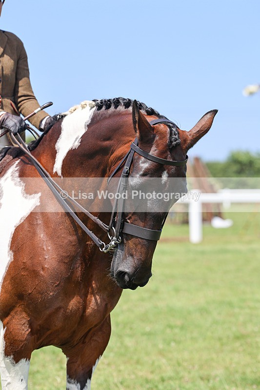IMG_2822 - Veteran Championship