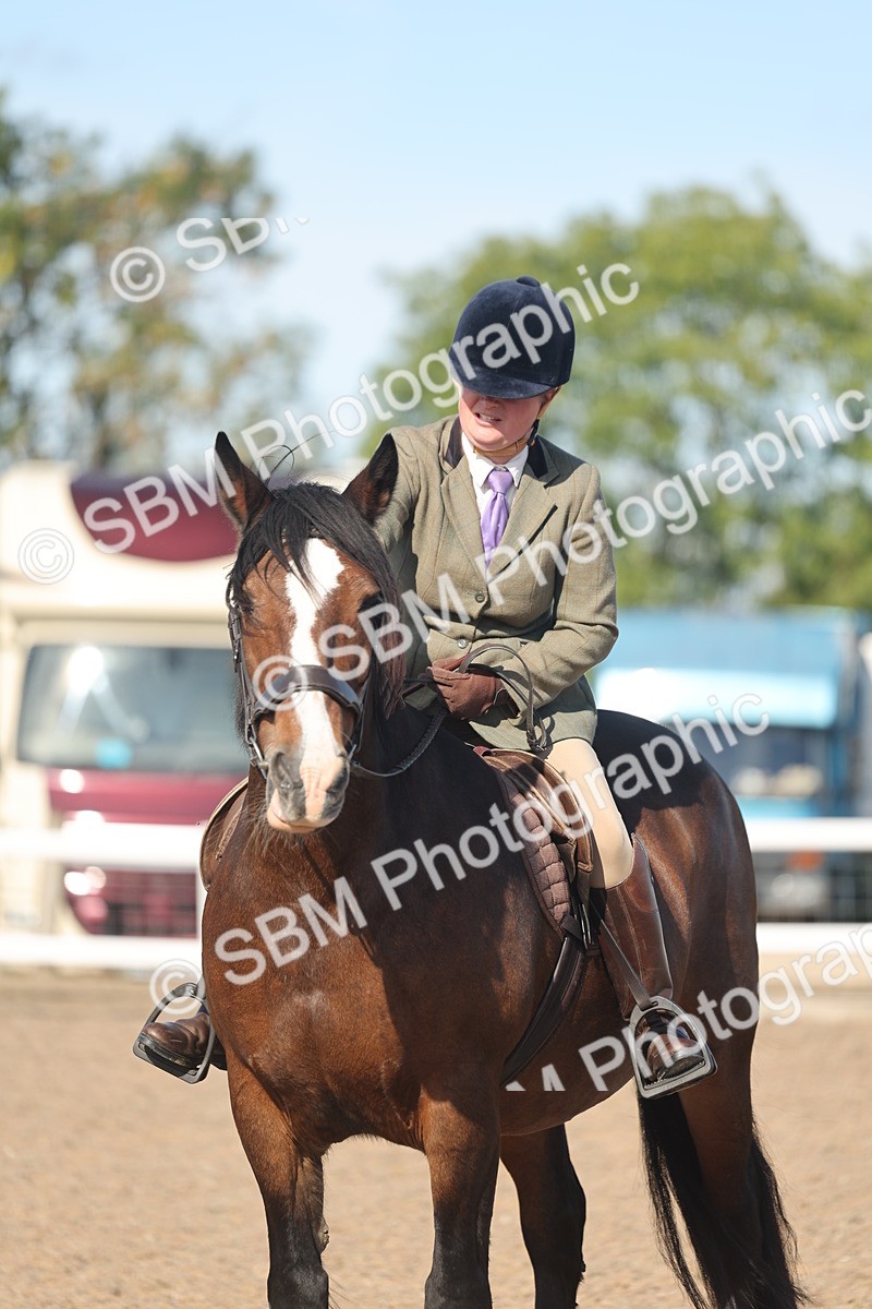 SBM_12378 - Class 304 - Ridden part Bred Horse Pony