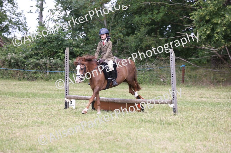 20260614-2080 - Class 21 - Novice Working Hunter Pony