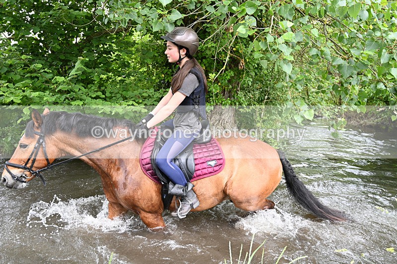 WJ7_1905 - Camera 2 Water Crossing