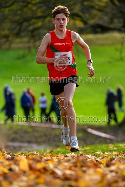 NatRel25-925343 - Young Male Set One