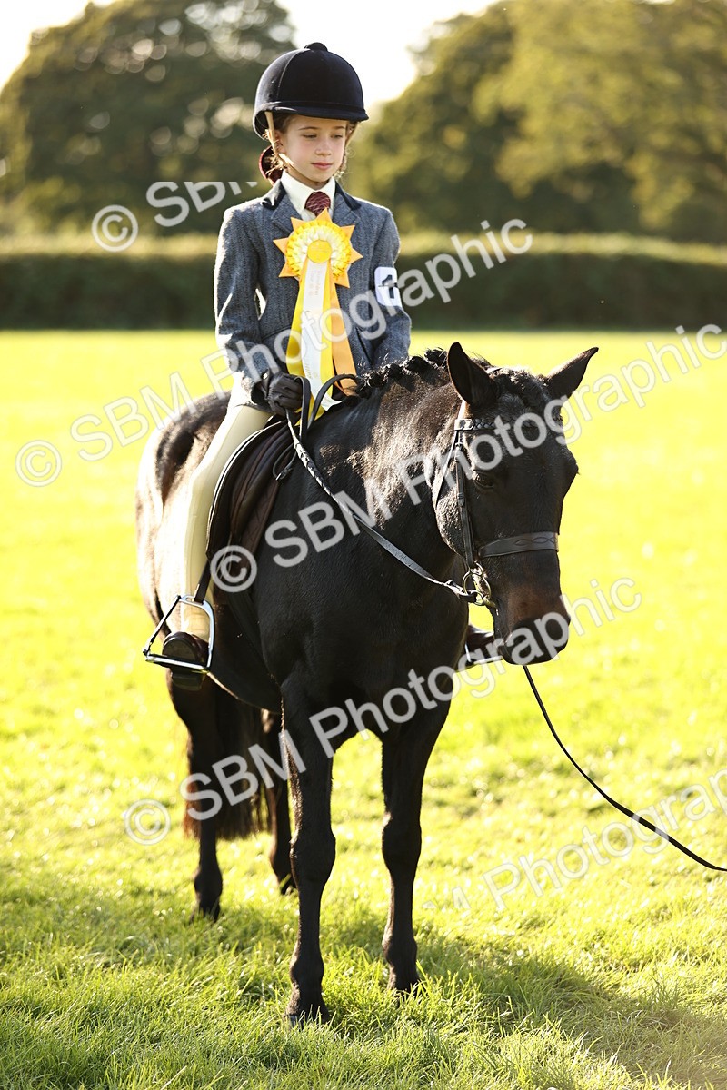 SBM_29501 - S7 - Novice & Newcomers Ridden Pony