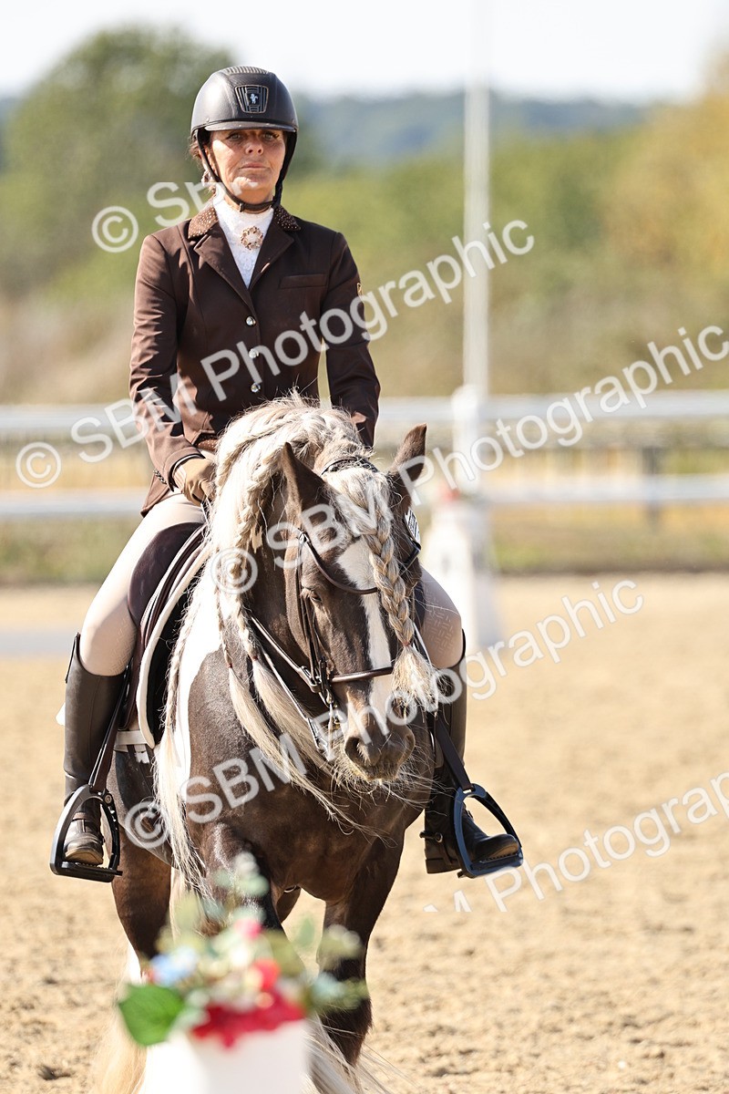 SBM_015278 - Class 9 - Advanced medium 3