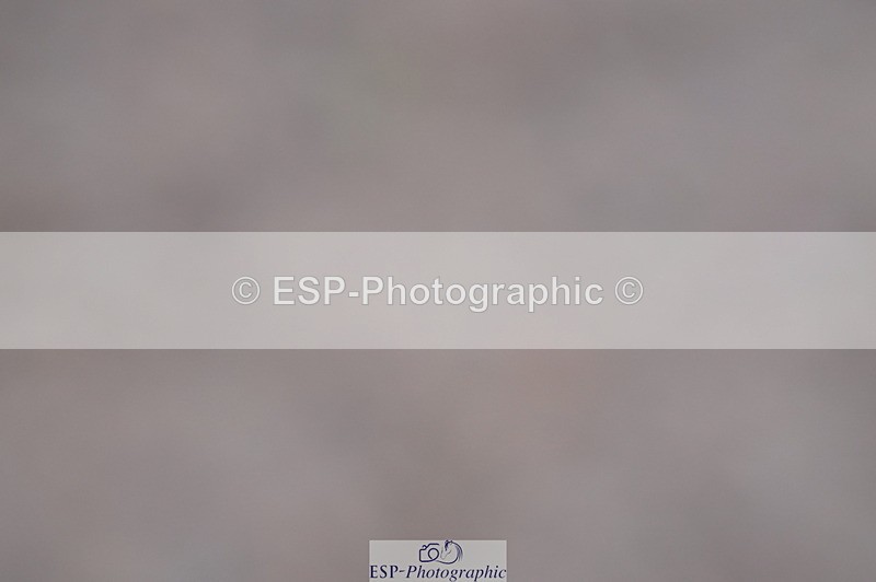 231017A-135206-07114 - Cls 28 Snr 1.20m