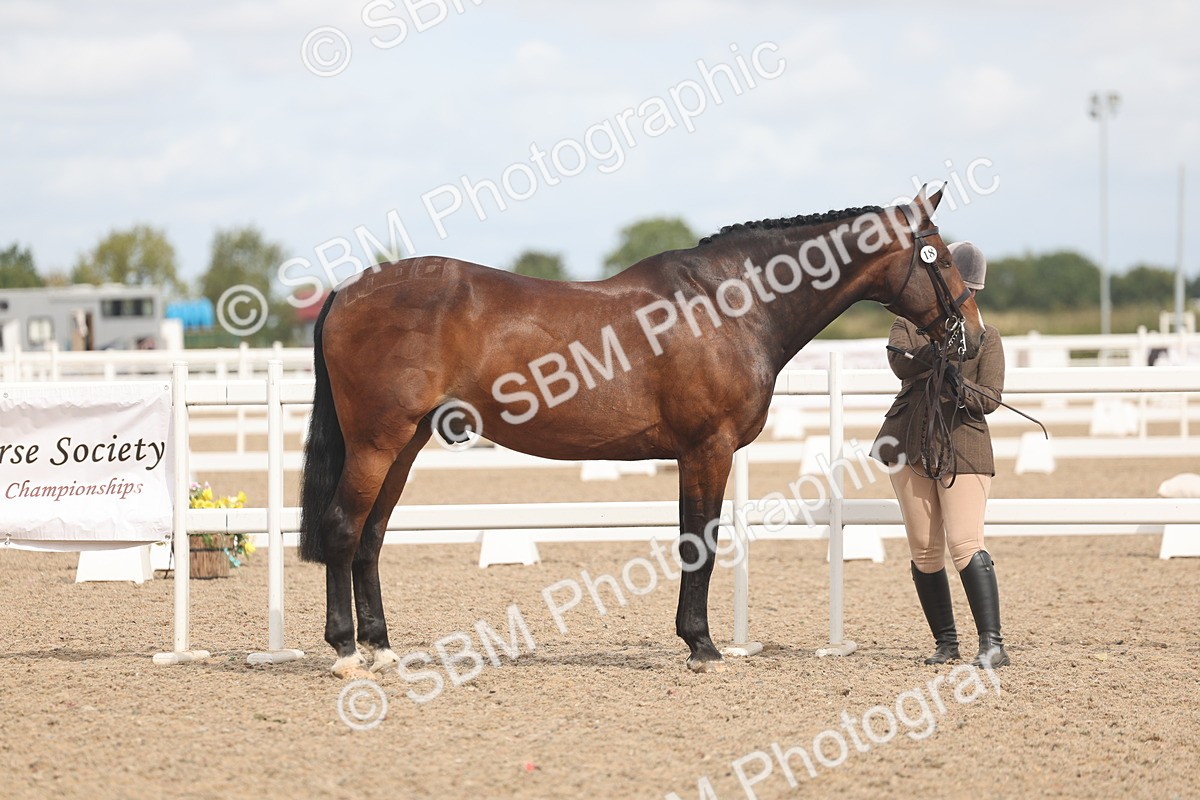 SBM_04952 - Class 20 - IH Veteran