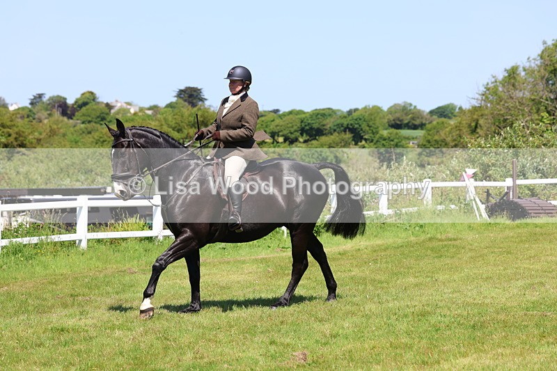 3E7A7211 - Class 30: Novice Working Hunter