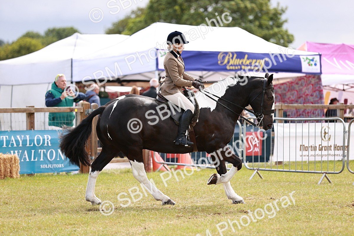 SBM_13093 - Class 85-87 - RIHS Cobs