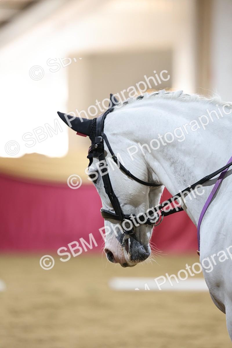 SBM_09566 - Class 51 - Dressage to music
