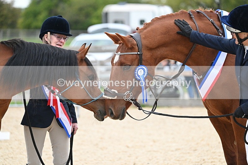 WJ7_2001 - Class 1 & Champs