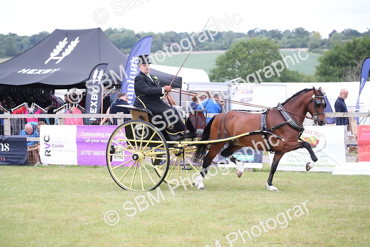 SBM_05724 - Class 12-15 - HOYS Private Driving