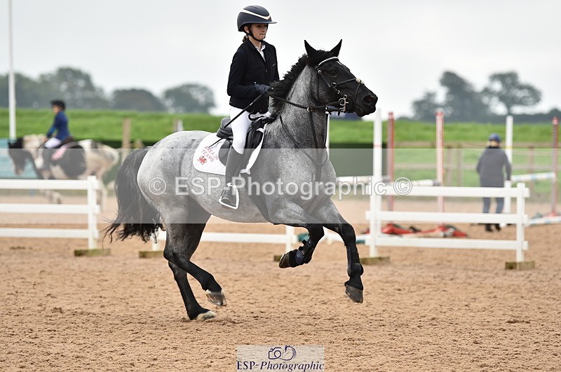 230902A-114318-00814 - Cls 2B Pony Small 80cm