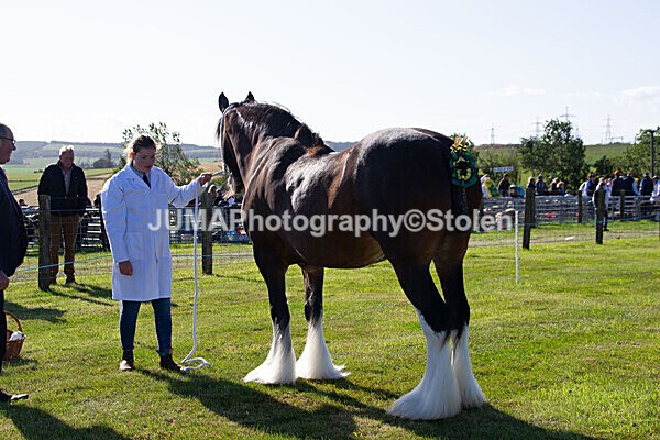 DSC_0043 - Ring 1