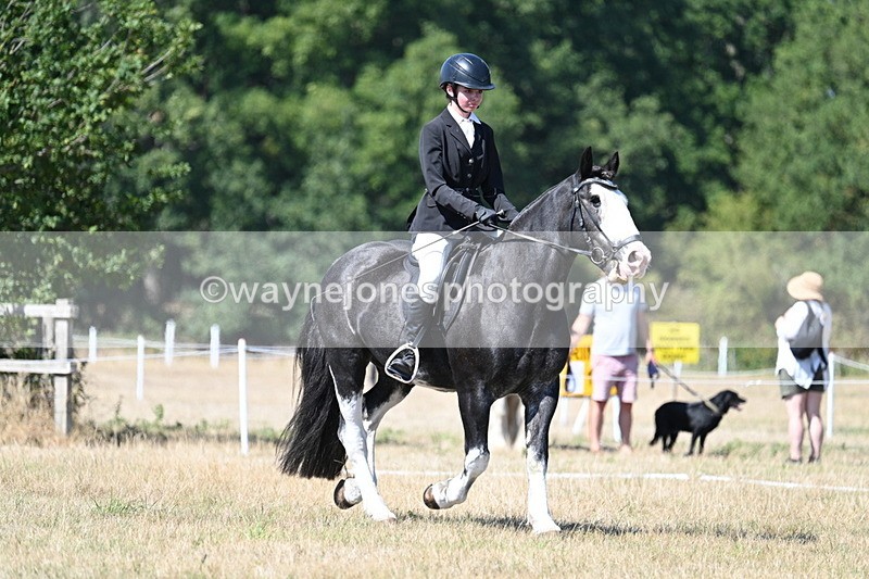 WJ7_0862 - Time 12:34 to 12:47