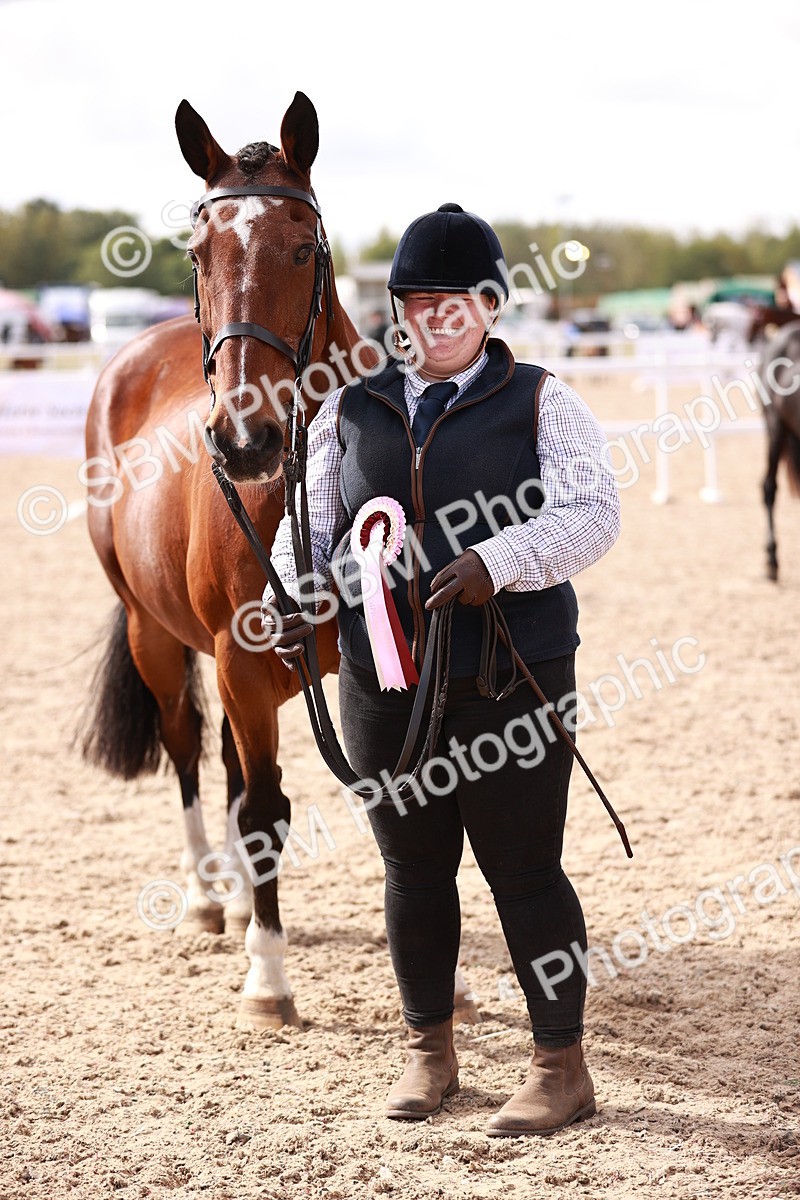 SBM_13363 - class 406 - IH Hunter