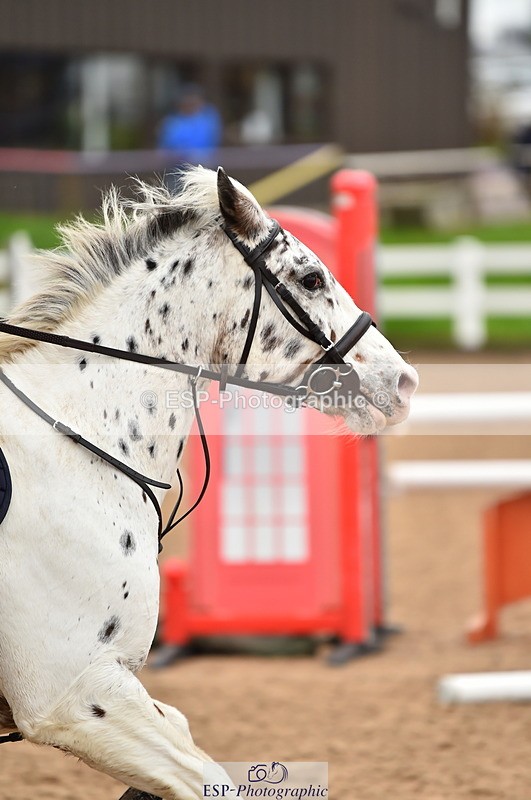 231028A-131456-01640 - Cls 4 Newcomers & 1m Open