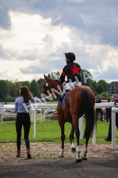 yr22052022r6-3 - Race 6: 6:05pm Sky Bet Sunday Series Stayers Stakes