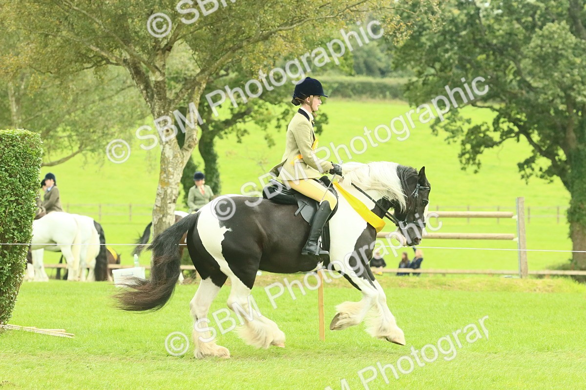 SBM_75025 - Ridden Pony Supreme Championship